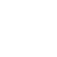 Volkswagen white logo